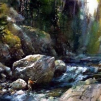 Casting For Brookies